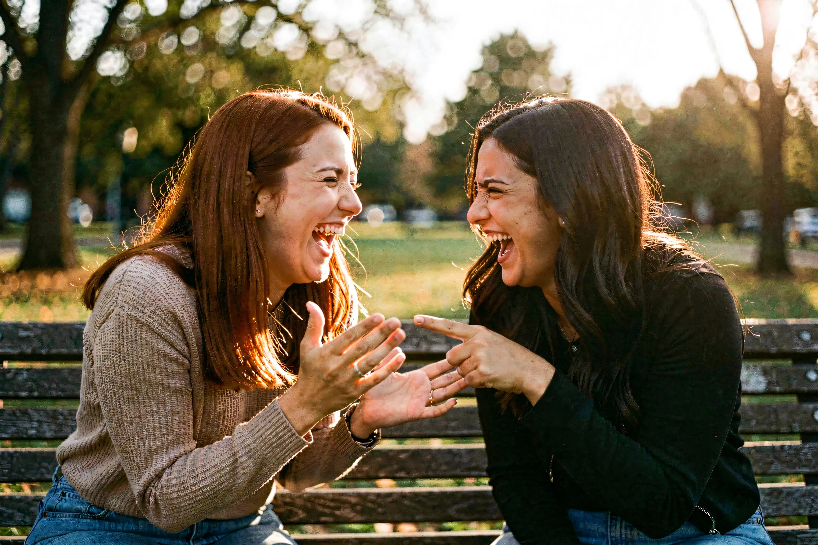Two friends on a park bench doubled over laughing, one mid-gesture as if telling a story, the other pointing at them in mock accusation